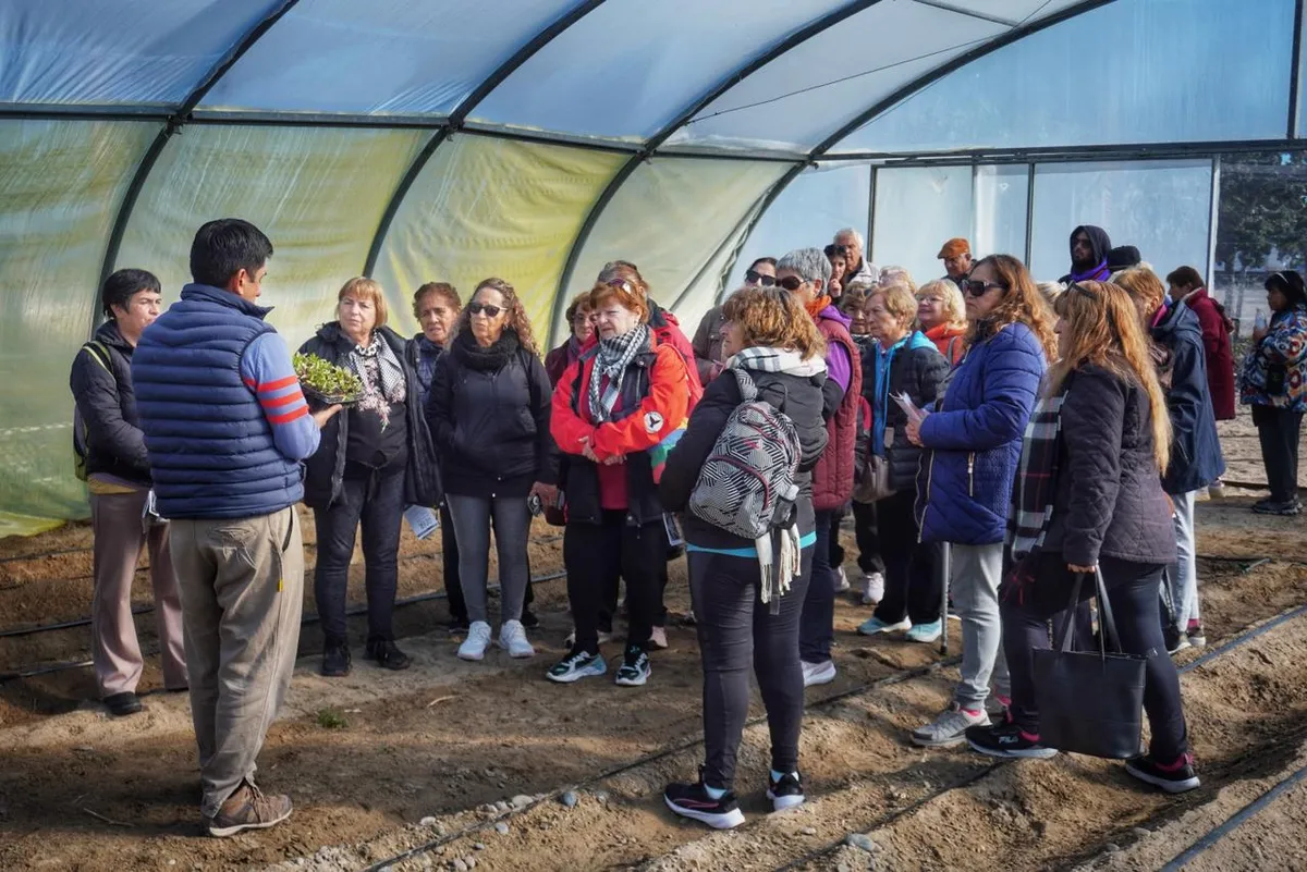 La Colonia de Adultos Mayores visitó ADER