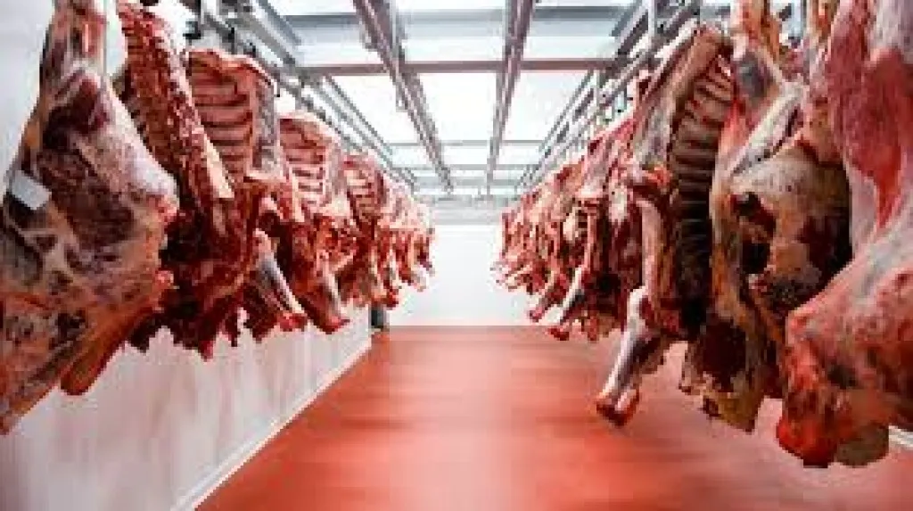 Creció un 369% la venta de carne argentina a los Estados Unidos
