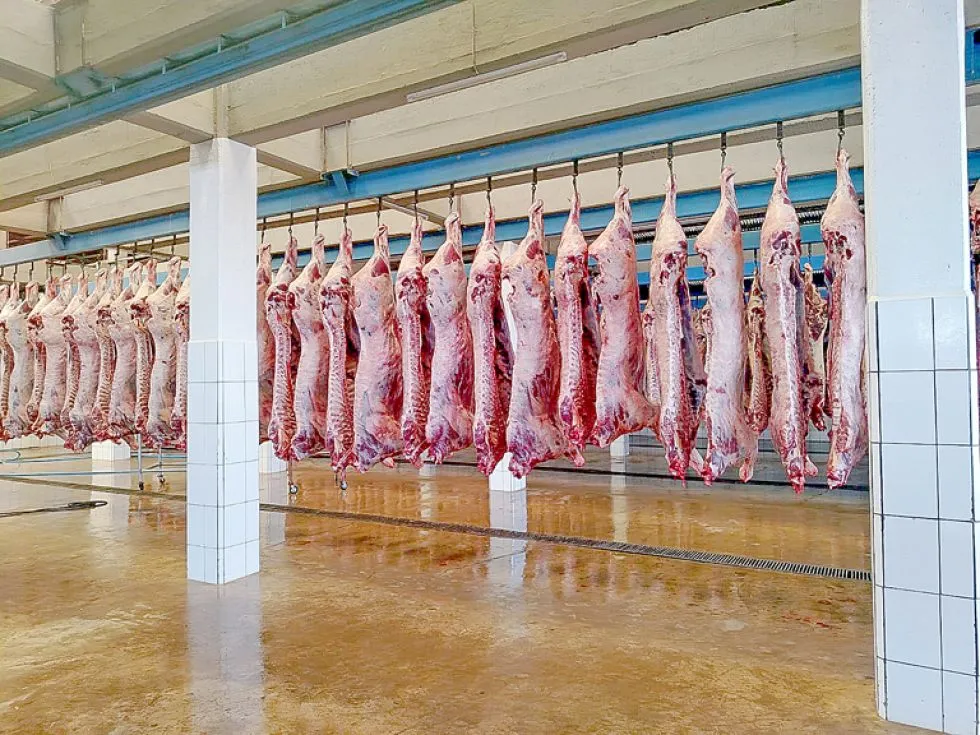 Cayó el consumo de carne y no llega a los 50 kilos per cápita por año