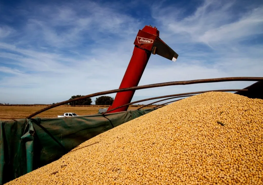 El agro proyecta exportaciones en el mayor nivel de la historia al totalizar US$42.200 millones