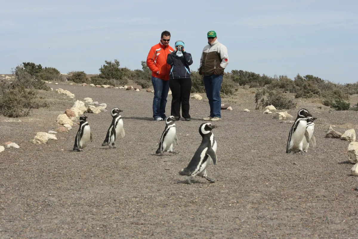 Fin de semana largo en Chubut: más de 24 mil turistas y un impacto económico de casi 11.000 millones de pesos